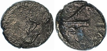 ������: 147-3131