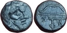 ������: 147-3131