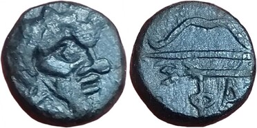 ������: 147-3131