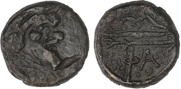 ������: 147-3131