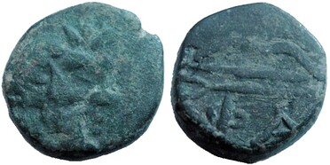 ������: 147-3131