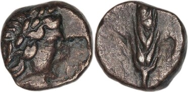 ������: 163-3013