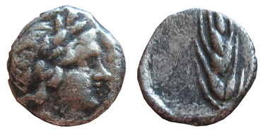 ������: 163-3013