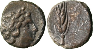 ������: 163-3013