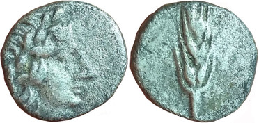 ������: 163-3013