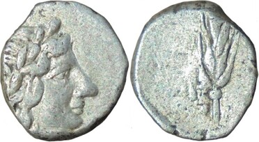 ������: 163-3013