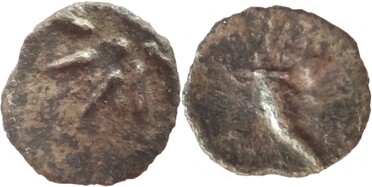 ������: 174-3004