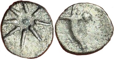 ������: 174-3004