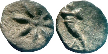 ������: 174-3004