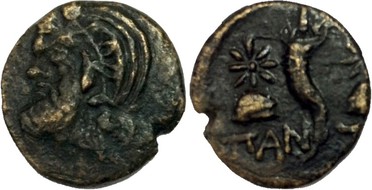 ������: 175-3151