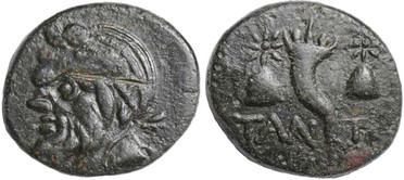 ������: 175-3151