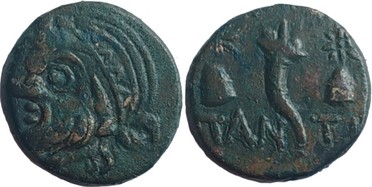 ������: 175-3151