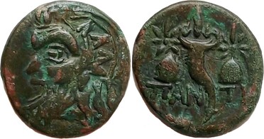 ������: 175-3151