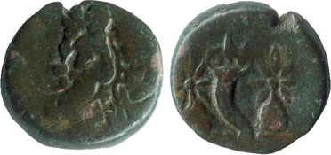 ������: 175-3151