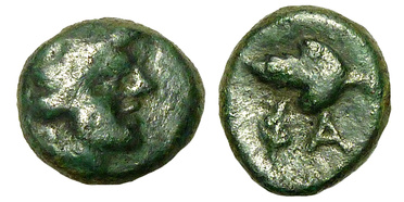 ������: 177-3107