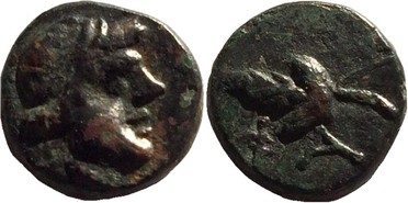 ������: 177-3107