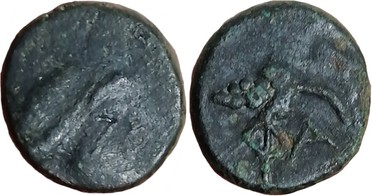 ������: 177-3107