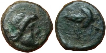 ������: 177-3107