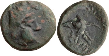 ������: 177-3107