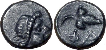 ������: 177-3254