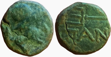 ������: 184-3036