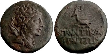 ������: 192-3175