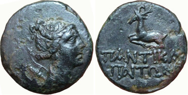 ������: 192-3175