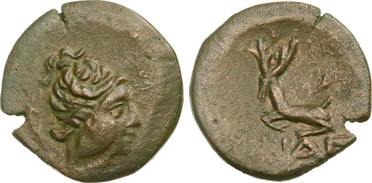 ������: 194-3114