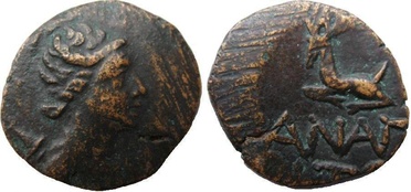 ������: 194-3114