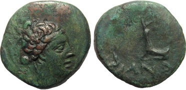 ������: 194-3114