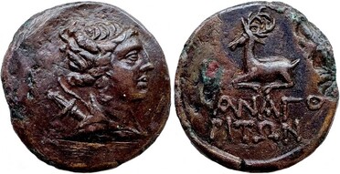 ������: 194-3161