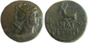 ������: 194-3161