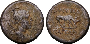 ������: 199-3196