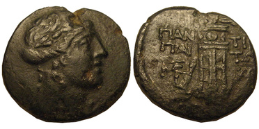 ������: 202-3111