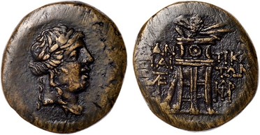 ������: 202-3111