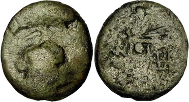 ������: 202-3111