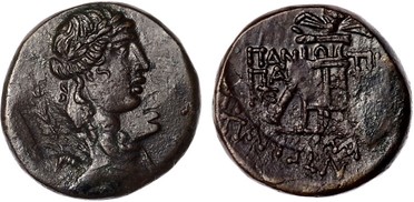 ������: 202-3111