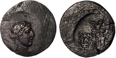 ������: 202-3111