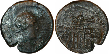 ������: 202-3111