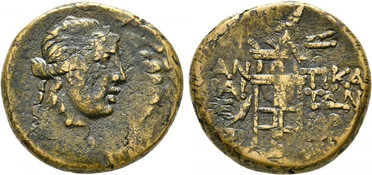 ������: 202-3111