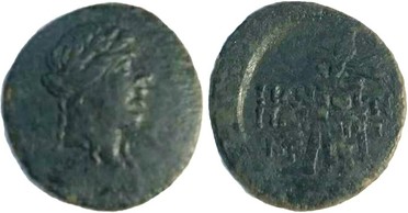 ������: 202-3111