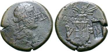 ������: 202-3111