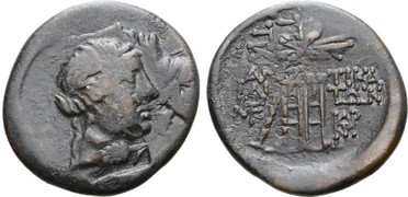 ������: 202-3111