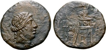 ������: 202-3111