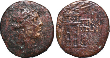 ������: 202-3111