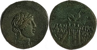 ������: 202-3111