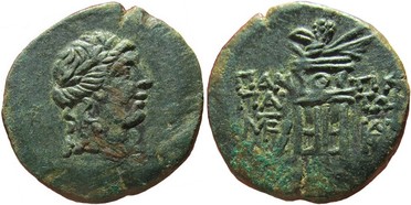 ������: 202-3111