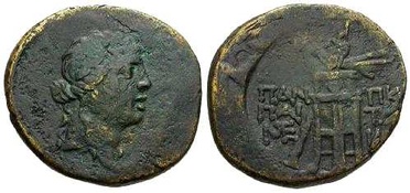 ������: 202-3111