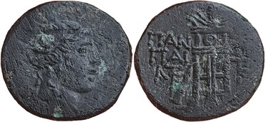 ������: 202-3111