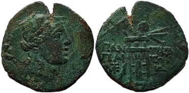 ������: 202-3111